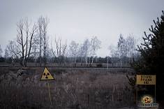 Рудий ліс, тури в Чорнобиль - подорожі з Go2Chernobyl