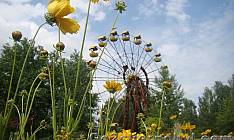 Chornobyl Reserve as a unique