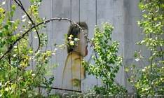 CHORNOBYL-TOURISMUS. Recht zu existieren