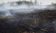 ARSON IST EINE WESENTLICHE FEUERGEFAHR IN DER CHERNOBYL EXCLUSION ZONE