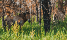 Why do I need it? Or 5 reasons to visit Chernobyl