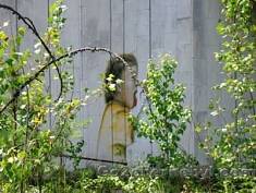 CHORNOBYL-TOURISMUS. Recht zu existieren