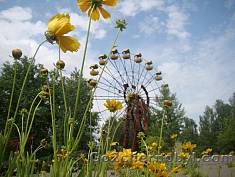 TOUR NACH CHERNOBYL UND PRIPYAT. EIN TAG GUT, ABER ZWEI - NOCH BESSER!