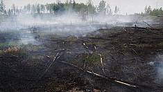 Умышленный поджог — основная причина пожара в ЧЗО